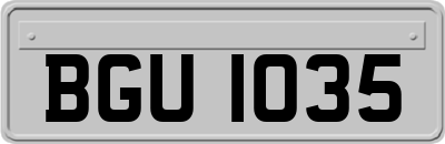 BGU1035