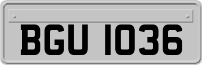 BGU1036