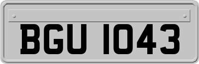 BGU1043