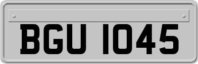BGU1045