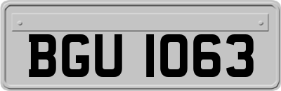 BGU1063