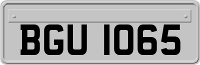 BGU1065