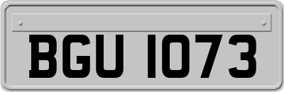 BGU1073