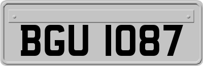BGU1087
