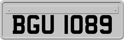 BGU1089