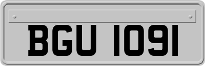 BGU1091