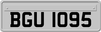 BGU1095