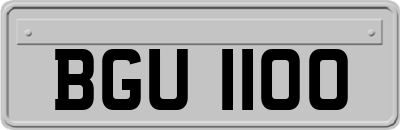 BGU1100