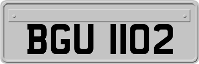 BGU1102