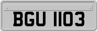 BGU1103