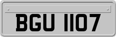 BGU1107