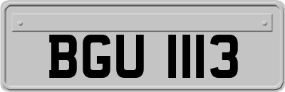 BGU1113