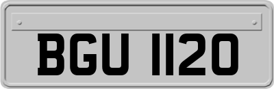 BGU1120