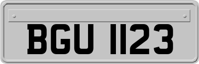 BGU1123