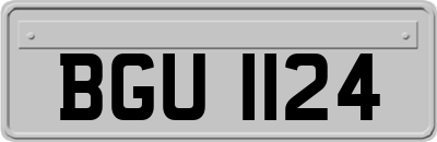 BGU1124