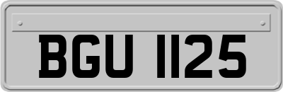 BGU1125