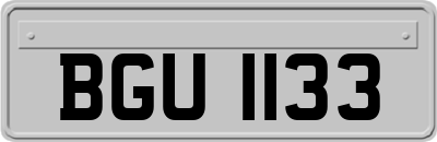 BGU1133