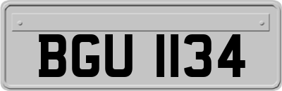 BGU1134