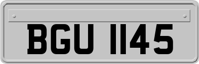 BGU1145