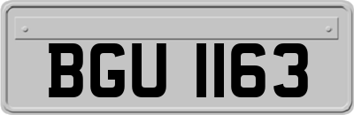 BGU1163