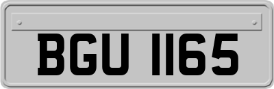 BGU1165