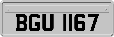 BGU1167