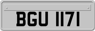 BGU1171