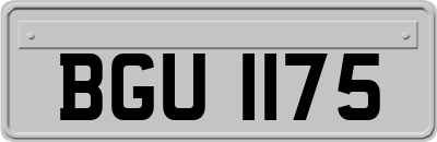 BGU1175