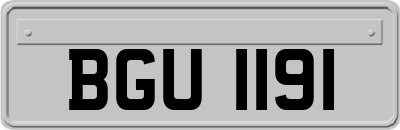 BGU1191