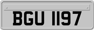 BGU1197