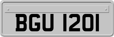 BGU1201
