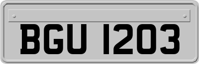 BGU1203
