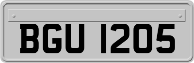 BGU1205