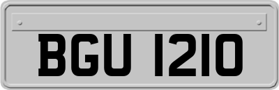 BGU1210