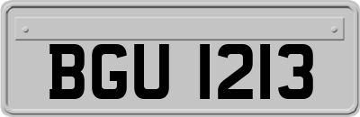 BGU1213