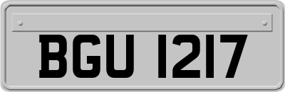 BGU1217