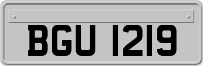 BGU1219