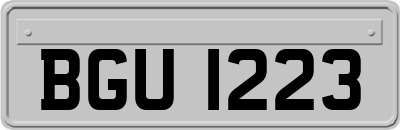 BGU1223
