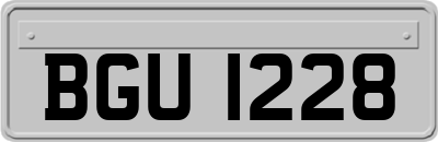 BGU1228