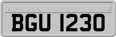 BGU1230