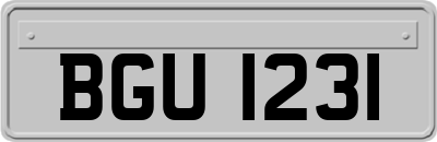 BGU1231