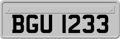 BGU1233