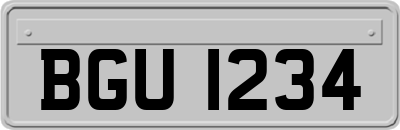 BGU1234