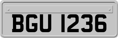 BGU1236