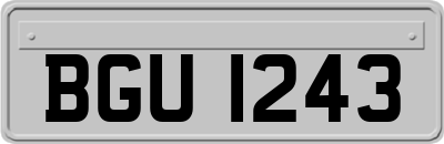 BGU1243