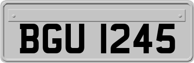BGU1245
