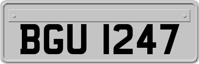 BGU1247