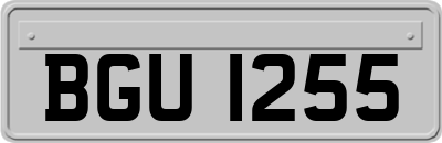 BGU1255