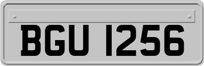 BGU1256