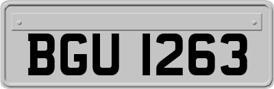 BGU1263